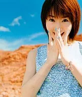 水樹奈々/New Sensation