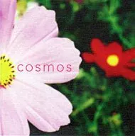 秋桜 cosmos