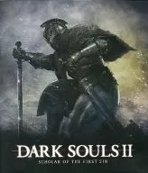 DARK SOULS II -SCHOLAR OF THE FIRST SIN- 同梱特典 Special Map ＆ Original Soundtrack