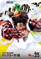 ONE PIECE ワンピース 17thシーズン ドレスローザ編 PIECE.25