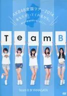 AKB48 / AKB48全国ツアー2014 あなたがいてくれるから。～残り27都道府県で会いましょう～ Team B[山形県](生写真欠け)