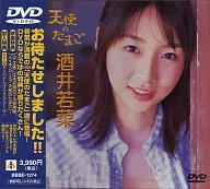 酒井若菜 / 天使のたまご