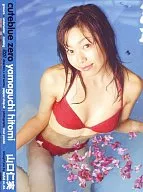 山口仁実 / Cute blue zero
