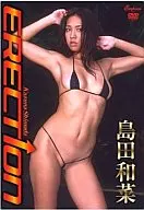 島田和菜 / ERECTION