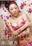 澤山璃奈 / REENUS