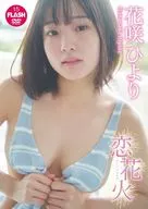 花咲ひより / 恋花火