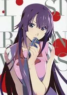 <<アニメ・漫画系書籍>> アニメ〈物語〉シリーズ 10th Anniversary Illustration Works