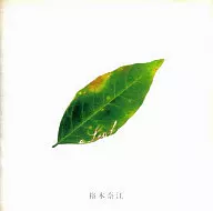 裕木奈江 / a Leaf(廃盤)