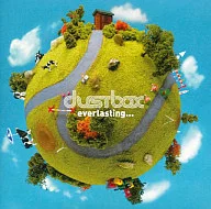 dustbox / everlasting…