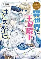 なんちゃってシンデレラ 王都迷宮編 異世界で、王妃殿下はじめました。)