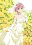 五等分の花嫁∬ 第1巻