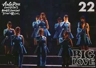 コレクションピンナップポスター No.22 アンジュルム 「ANGERME CONCERT 2023 BIG LOVE 竹内朱莉 FINAL LIVE『アンジュルムより愛をこめて』 」