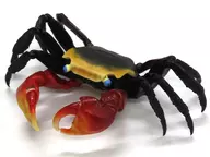 アカテガニ(リアルカラーバージョン) 「いきもの大図鑑アドバンス カニ」