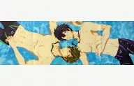 ポスター(四つ折) 七瀬遙＆橘真琴 「Free!」 ROMAN ALBUM Prince Animage 2013 autumn付録