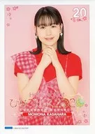 コレクションピンナップポスター No.20 笠原桃奈(アンジュルム) 「Hello! Project ひなフェス2020」