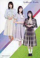 A4ポスター 遠藤さくら 「乃木坂46 2021大感謝キャンペーン」 対象商品購入特典