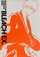 オリジナルB2ポスター 黒崎一護 「BLEACH生誕20周年記念原画展 BLEACH EX.」