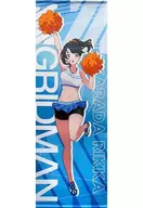 宝多六花 ロングタペストリー 「キャラ福くじ SSSS.GRIDMAN」 A賞