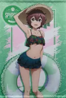 サラ 描き下ろしB2タペストリー 「スパイ教室×ドン・キホーテ」