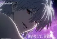 渚カヲル ヱヴァンゲリヲン新劇場版 ビジュアルアートワークス：破 2nd scene パック ジャンボカードダス