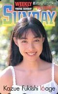 「吹石一恵」 ヤングサンデー 抽プレ