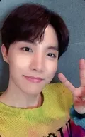 防弾少年団/J-HOPE(ジェイホープ)/CD「Lights/Boy With Luv」BTS JAPAN OFFICIAL FANCLUB 5形態セット購入特典自撮りフォトカード