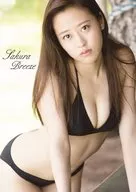 <<ハロプロ>> DVD付)モーニング娘。’17 小田さくら 写真集 『Sakura Breeze』