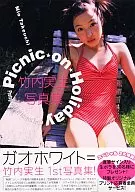 竹内実生1st写真集 Picnic on Holiday ガオホワイト