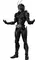 S.H.Figuarts 仮面ライダーBLACK SUN 「仮面ライダーBLACK SUN」