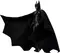 S.H.Figuarts バットマン 「ザ・フラッシュ」