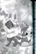 zhore196874_1