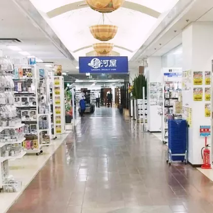 駿河屋 新潟駅南店